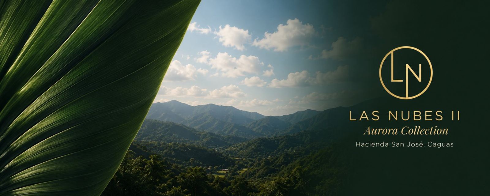 Banner de Las Nubes II con el monograma LN